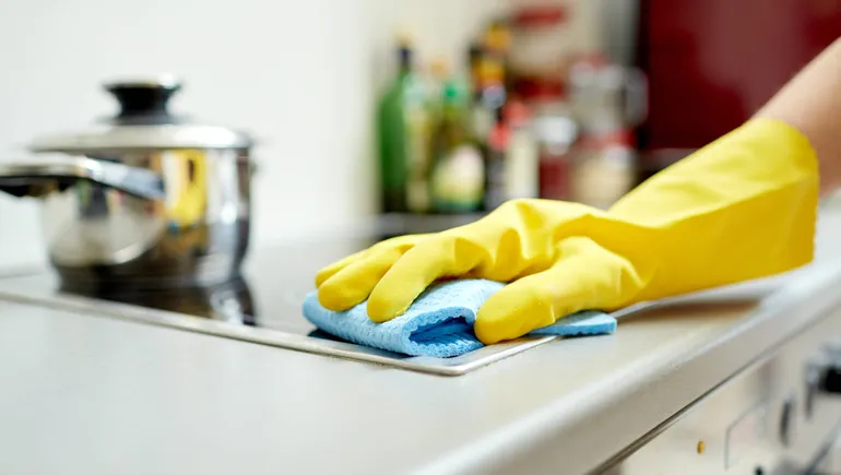 empleadas domesticas