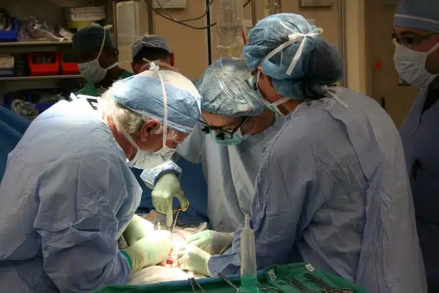 transplante-1