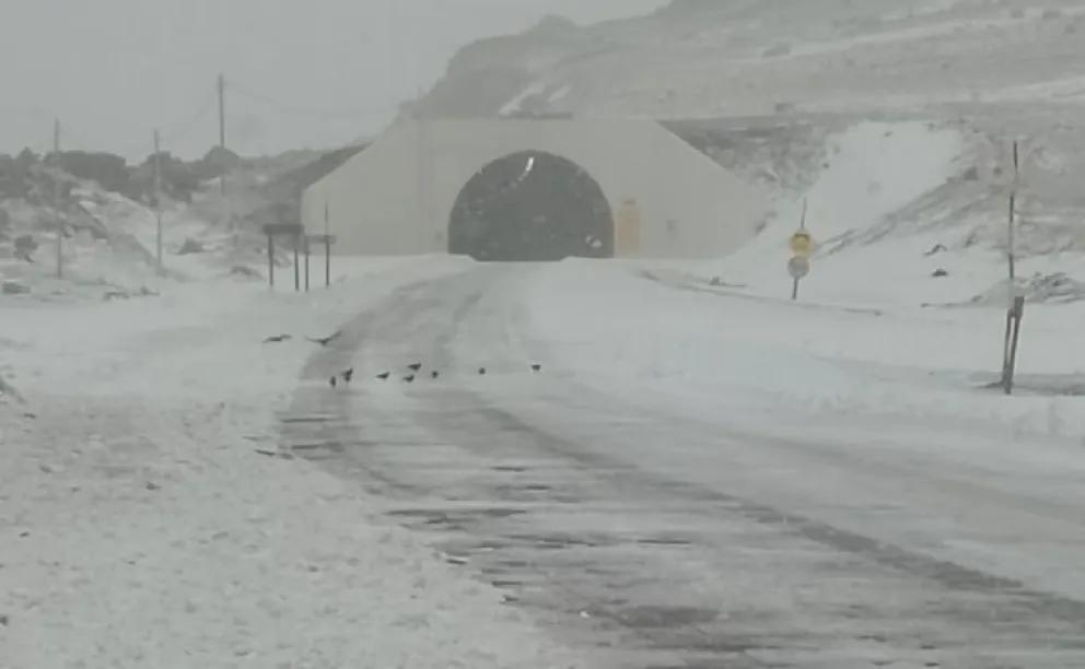 md (1)