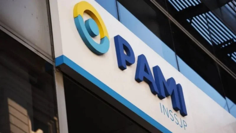 PAMI
