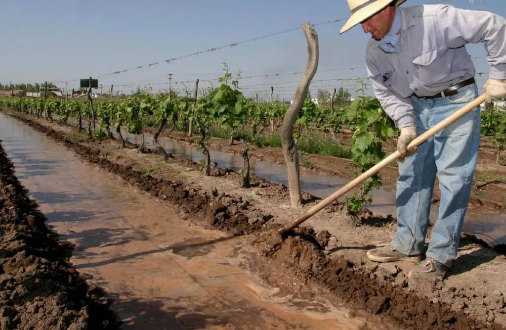 los-productores-e-industriales-mendocinos-cuentan-una-herramienta-consultar-diversos-datos-la-agricultura-mendocina-foto-prensa-gobierno-mendoza