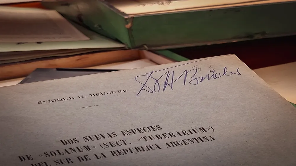 Archivo personal_BRUHCER