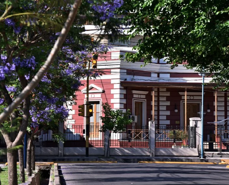muni-con-jacaranda-772x624-1