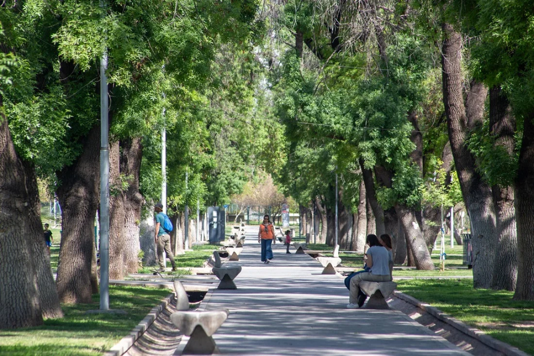 Primavera