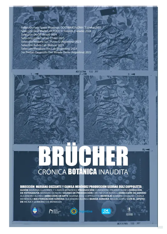 Cartel BRUCHER_VF1